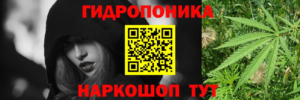 Каннабис Bruce Banner  Шишки марихуана семена  Каннабис Ganja  Тимашёвск  Вход с VPN  Шишки марихуана Bruce Banner 